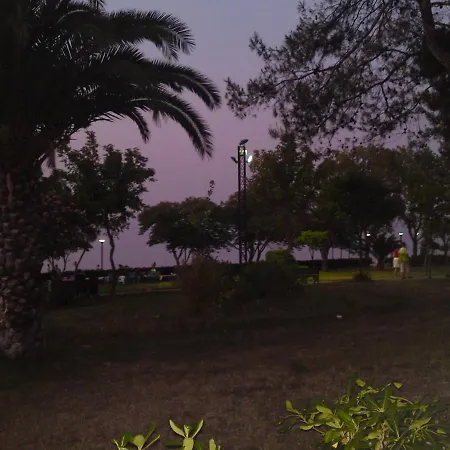 Hotel Plaza 3*
